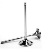 Engine exhaust valve